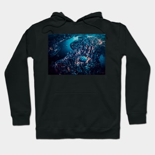 Riverfront skyscrapers Hoodie